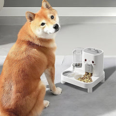 Automatic Cat Feeder – 2-in-1 Dog Food and Water Dispenser | Detachable Pet Bowl for Puppies, Kittens, Rabbits, Indoor Feeding, Outdoor Travel, Vacation Care, Hydration & Home Use