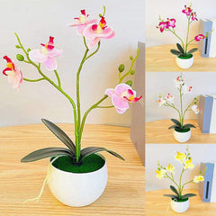 1 Set Artificial Potted Plant Anti-deform Anti Fade Faux Silk Flower Realistic Eye-catching Butterfly Orchid Flower Bonsai for Party - Pink