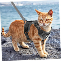 Pet Vest Harness Dog Leash Rope Cat Harness Small Dog Vest Comfortable Elastic Design Size l