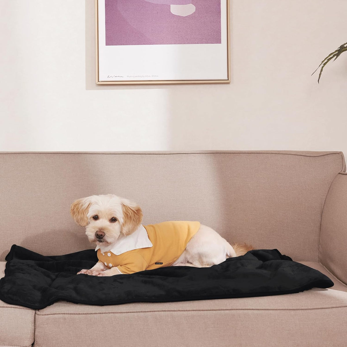 NICETOWN Waterproof Dog Blanket Sherpa Fleece, Small Dogs, Reversible Cat Throw Bed Couch Sofa Furniture Protector, Soft Blanket for Pet Day Pet Lovers Present(24" x 32", Taupe)