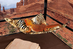 Hammock for Bearded Dragons, Safari Fabric with Suction Cup Hooks